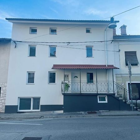 Vanadium House Apartman Tolmin Kültér fotó